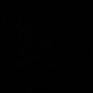 Meet your Posher, Carolina